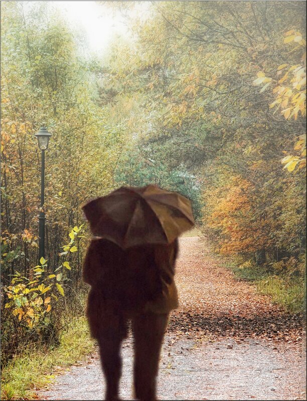 Гулять зонтиком. Осень дождь. Мужчина с зонтом в парке. Дама в осенней аллее. Дождь осенний и девушка.