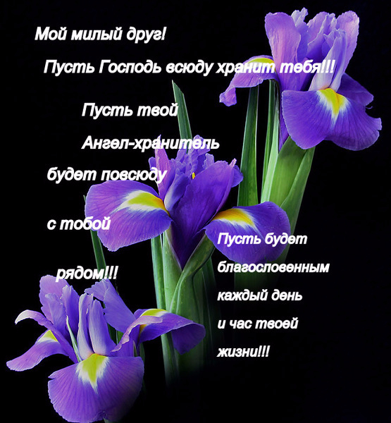 Спасибо милый друг. Спасибо мой милый друг. Стих мой милый друг. Открытки милому другу мужчине.