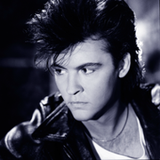 The Heart is a Lonely Hunter - Paul Young